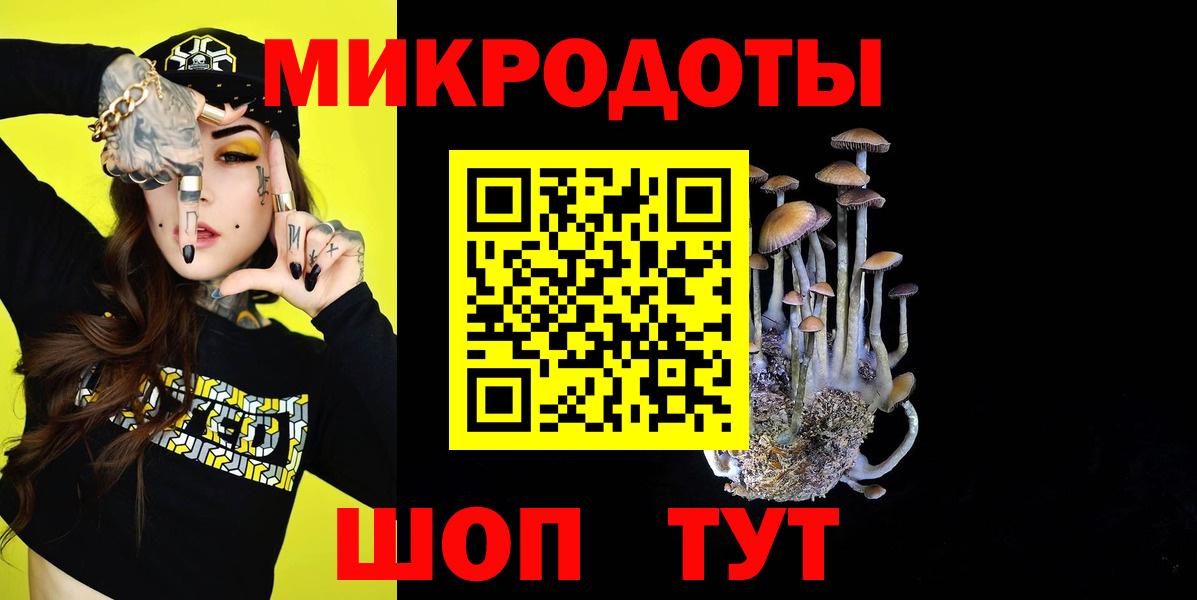 Аша  Псилоцибиновые грибы ЛСД  Псилоцибиновые грибы GOLDEN TEACHER  Вход с VPN 