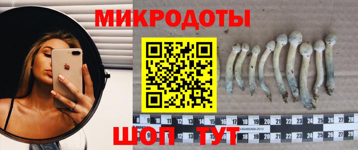 Галлюциногенные грибы Psilocybine cubensis Аша
